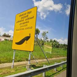 On the motorway