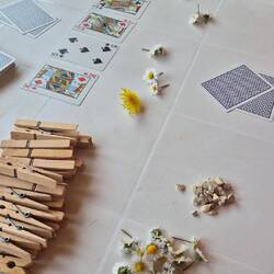 Pokern mit alternativen Natur-Jetons