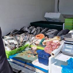 Tägl. fangfrischer Fisch bis vor die "Haustür"