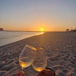 🌞+🥂=👩‍❤️‍👨
