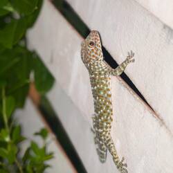 Dieser kleine Freund wollte auch mitspielen. 😅
