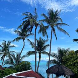 Unser Blick vom Balkon 😍