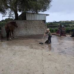 Immer so fleißig der kleine 😍