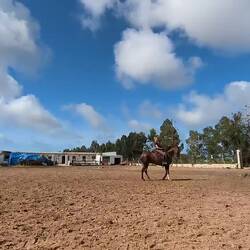 ... und Merle unser kleiner Fotocrasher...😂