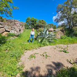 Heike beim Spaziergang