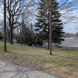 MLK Park