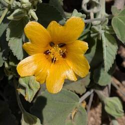 Mit viel Farbe am Wegesrand.