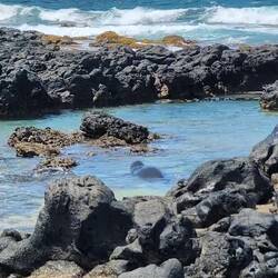 Sitzt man so nichtsahnend einsam herum.... Kommt wieder was vorbei geschwommen.😀