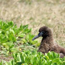 Und passend zu Ostern haben wir auch noch Küken gefunden! 😉