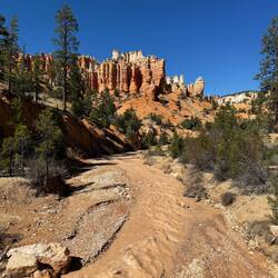 Bryce Mossy Cave