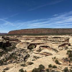 White canyon at Natural Bridges