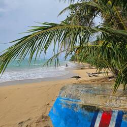 Hier gilt Pura Vida am Playa Punta Uva