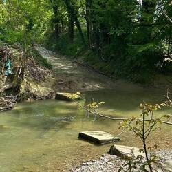 Ich hab's versucht und bin gescheitert. Ufer tiefer Schlamm ich bakam fast meinen Fuß nicht raus