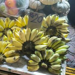 Kleine, süße Bananen. Das Kilo für 20 Baht. Weniger als 60 ct.