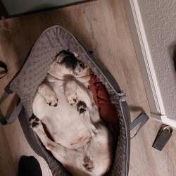 Die Tasche ist weiterhin ihr Favorit