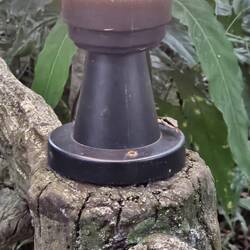 Unsere erste Schlange 🐍