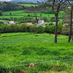 Hello Lago, my bed for the night