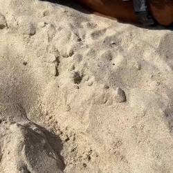 Plaka Beach - hier haben wir letztes Jahr geheiratet 🥰