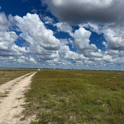 ...Landschaft pur!...