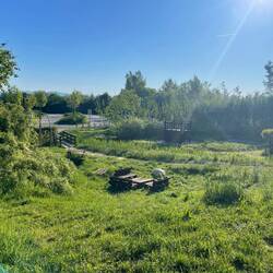 Mein Übernachtungsrastplatz im Elsass: Blick vom Frühstückstisch