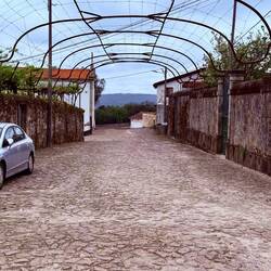 Imagine in the summer when the metal frame above the street is filled in with vines. Magical