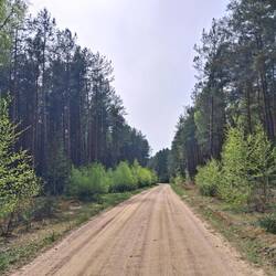 Nawierzchnia często zmieniała się, sporo "tarki"