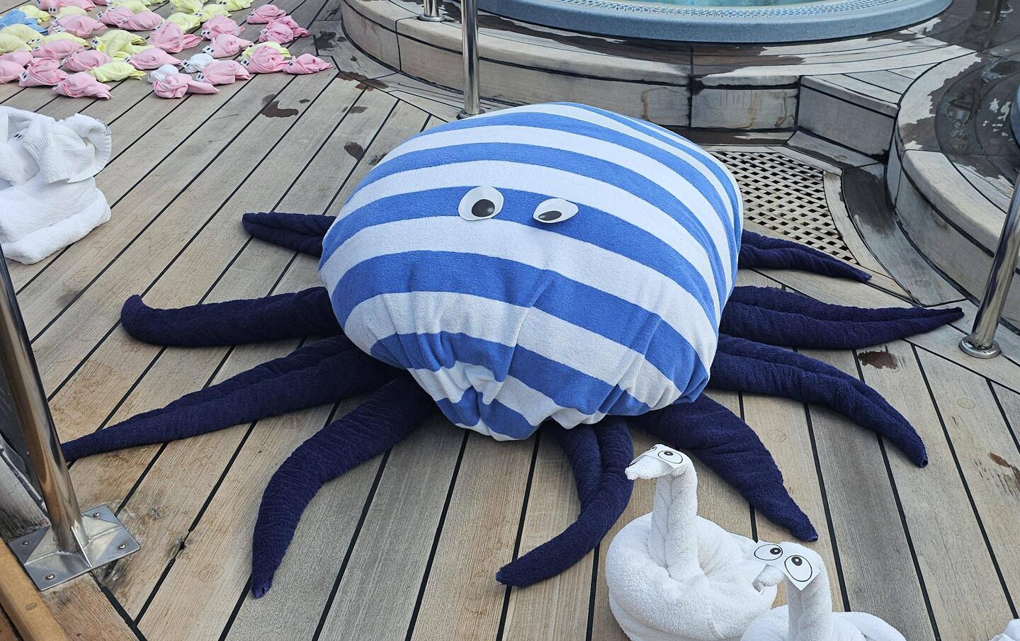 Octopus or spider ?