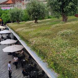 Jardim das Oliveiras - Olivengarten auf dem Dach eines Shoppingcenters