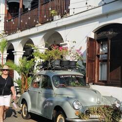 Morris minor plant.pot