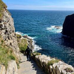 Whaligoe steps