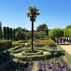 Garden of the Alcazar