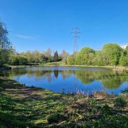 The fishing lake where we spotted the kingfisher