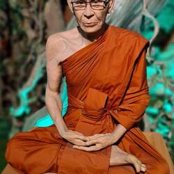 sehen schon verdammt echt aus, diese Mönchsfiguren