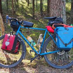 Das Veloheld im Wald