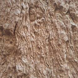 Close up of the dripped-mud walls. It reminded me of tree bark.