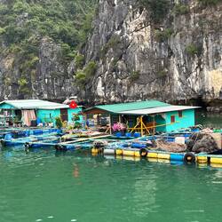 Maisons de pêcheurs fleuries et bassins de pisciculture
