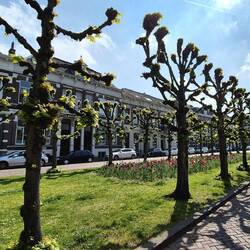 Eine hübsche Straße empfängt uns in Breda