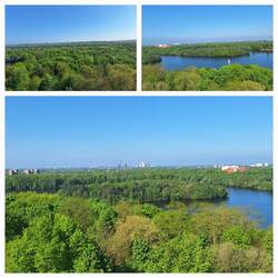 Traumhafter Blick vom Aussichtsturm