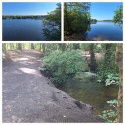 Wolfssee und Wambach