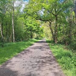 Weg "Zum Verschwiegenen Zoll"