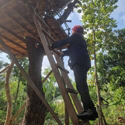 Bucket list climb into treehouse