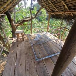 Not sure I'd stay the night in this treehouse