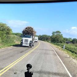 Ladungshöhe und Ladungssicherung sind hier wohl ein Fremdwort