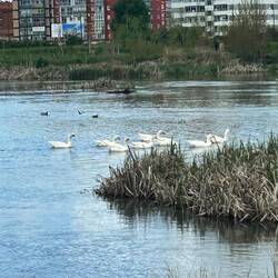 The Long river walk into downtown Burgos