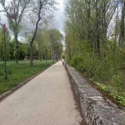 It went on just like this for miles