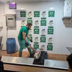 "Ronqueo" - zerteilen d Thunfischs