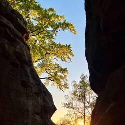Nebenan am Papststein sucht die Abendsonne ihren Weg..