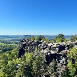 Nadelbäume wechseln sich mit Laubbäume ab, und..