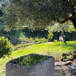 Back of where I am staying