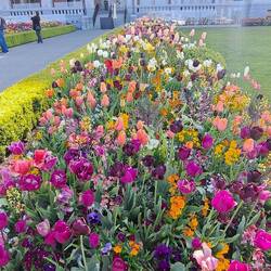 The hotel has an absolutely skillful landscaper